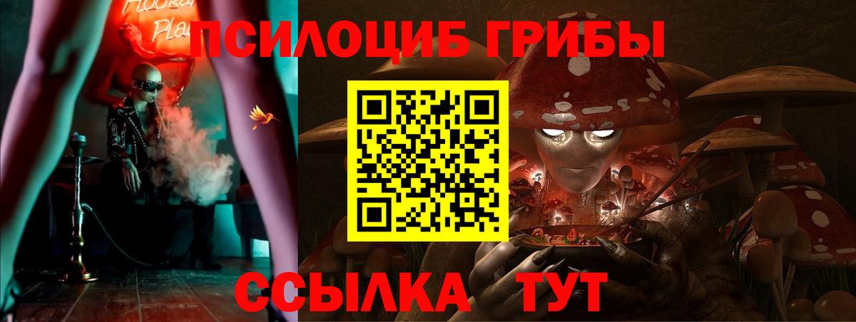 цена наркотик  Вход с VPN  Воскресенск  Галлюциногенные грибы Psilocybine cubensis 